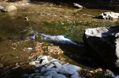 DSC_1074
