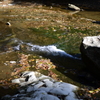 DSC_1074