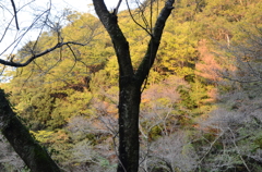 堀河ダム2