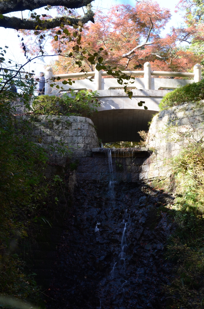 根来寺　紅葉