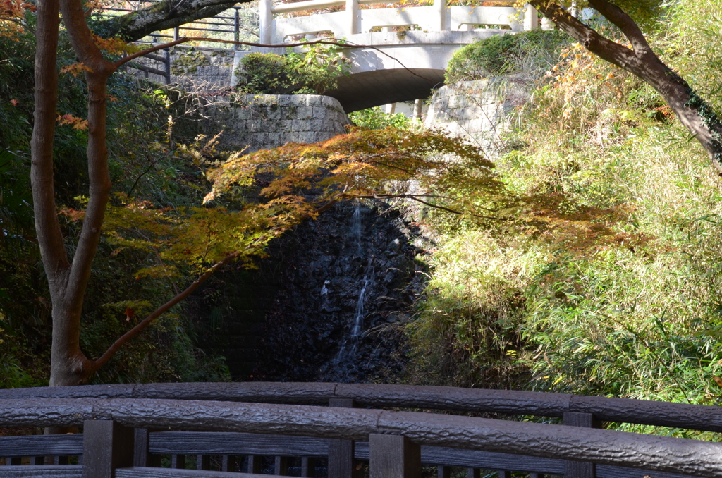 根来寺　紅葉