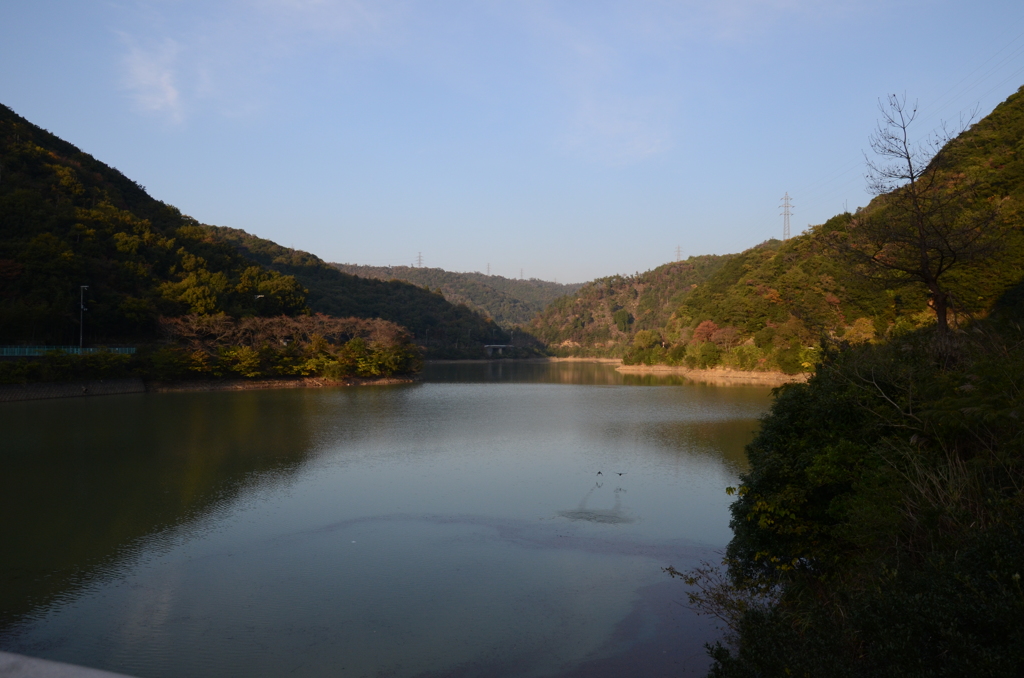 堀河ダム4