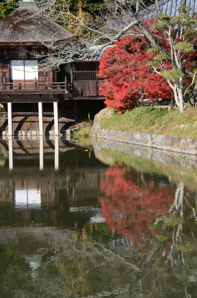 根来寺　紅葉