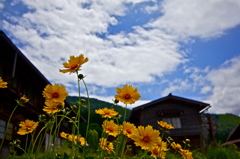 民家と花