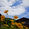 民家と花