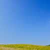 すすきと青空