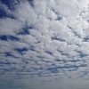 羊雲