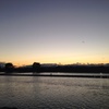 夕暮れ時の釣り堀