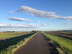 田舎風景