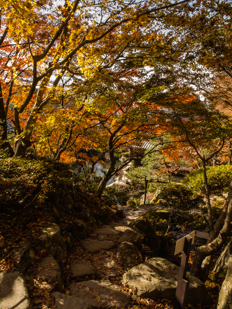 百済寺　その参