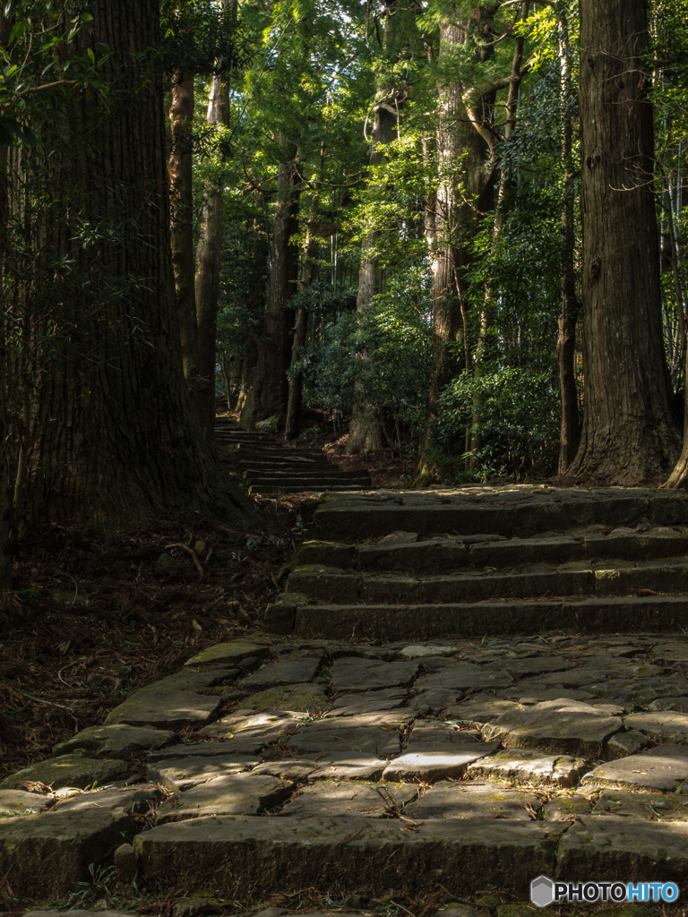 熊野古道　その壱