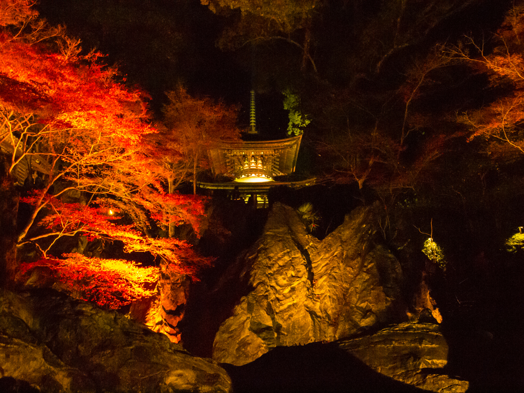 石山寺ライトアップ③