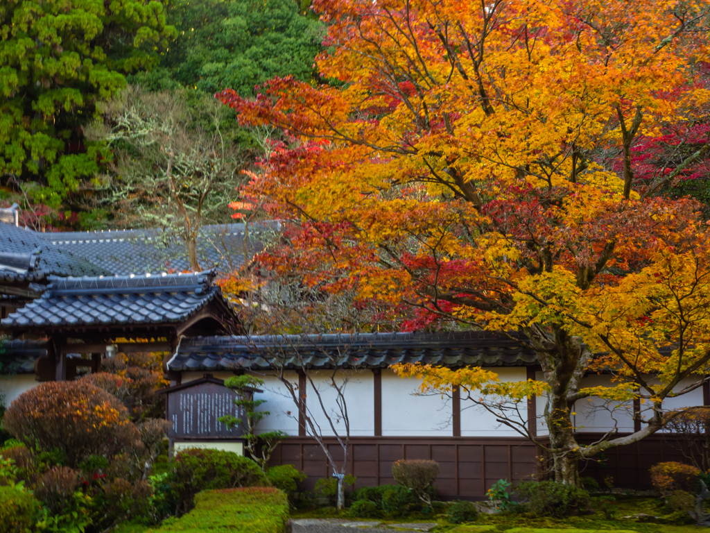 西明寺　その弐