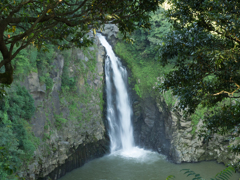  数鹿流ヶ滝