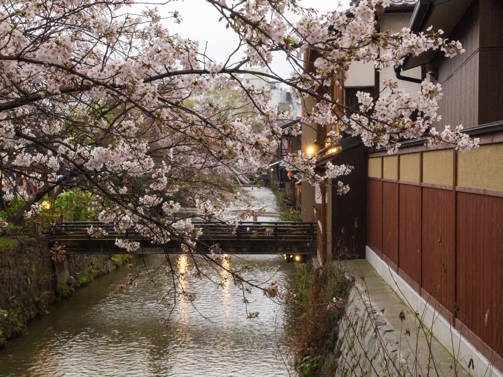 祇園白川　その壱