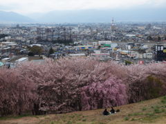 弘法山古墳その４