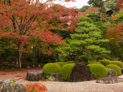 三室戸寺③