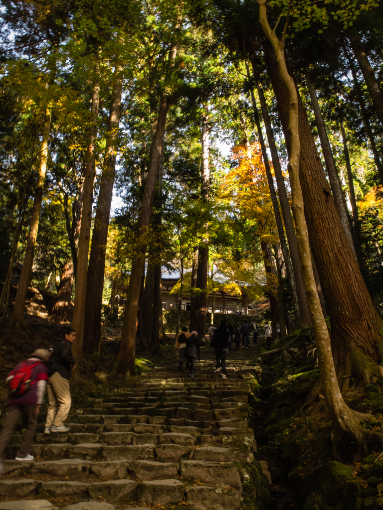 百済寺　その六