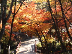 根来寺紅葉