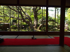 宝泉院②