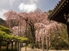 吉峰寺⑥