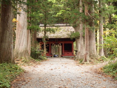 戸隠神社