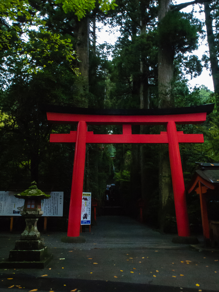 箱根神社　参道