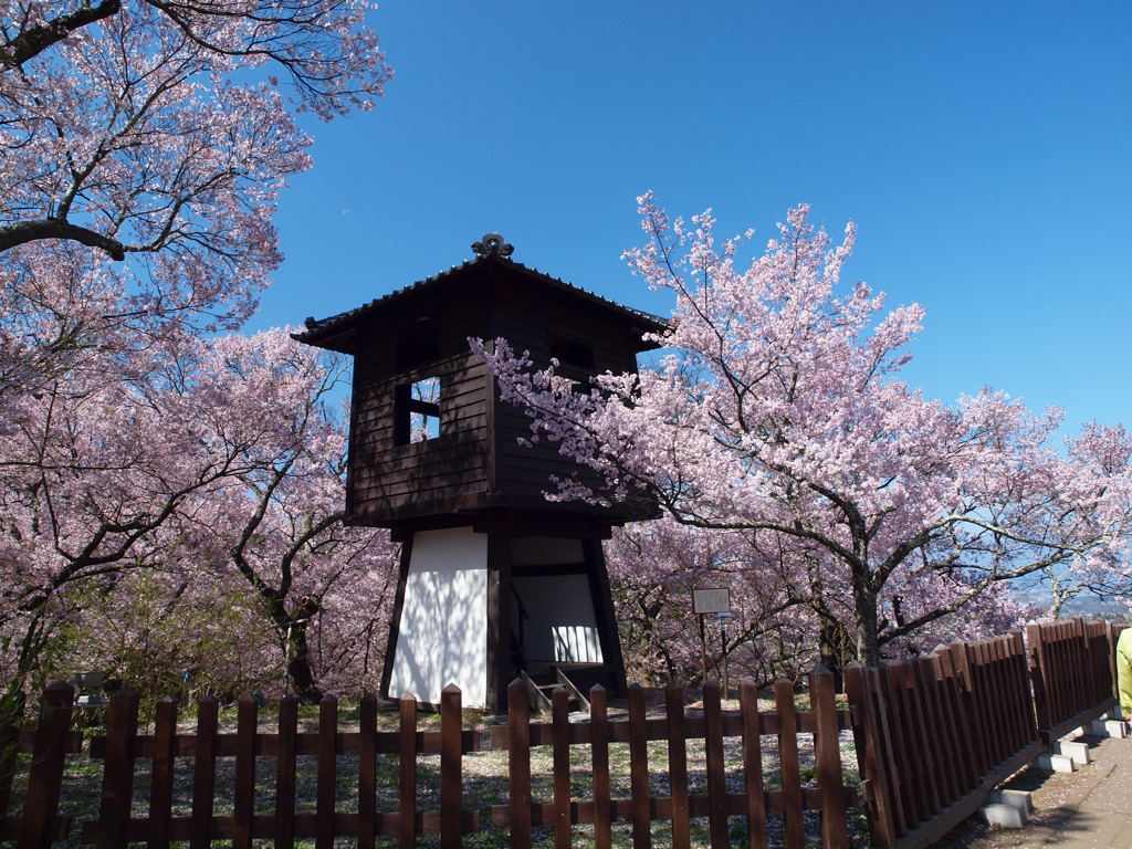 高遠城址④