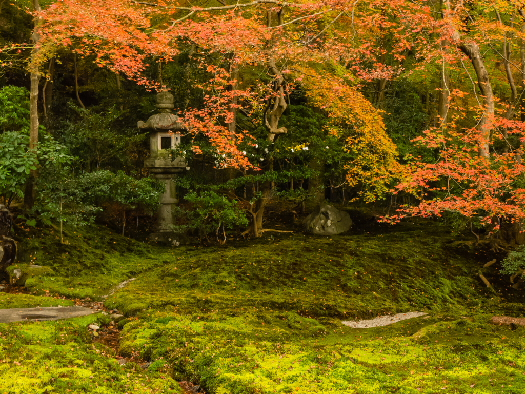 瑠璃光院　庭園　その弐