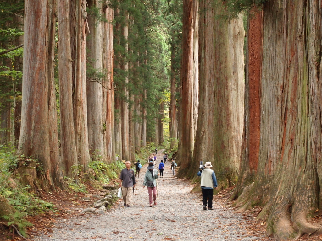 戸隠神社奥社参道