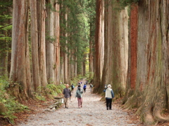 戸隠神社奥社参道