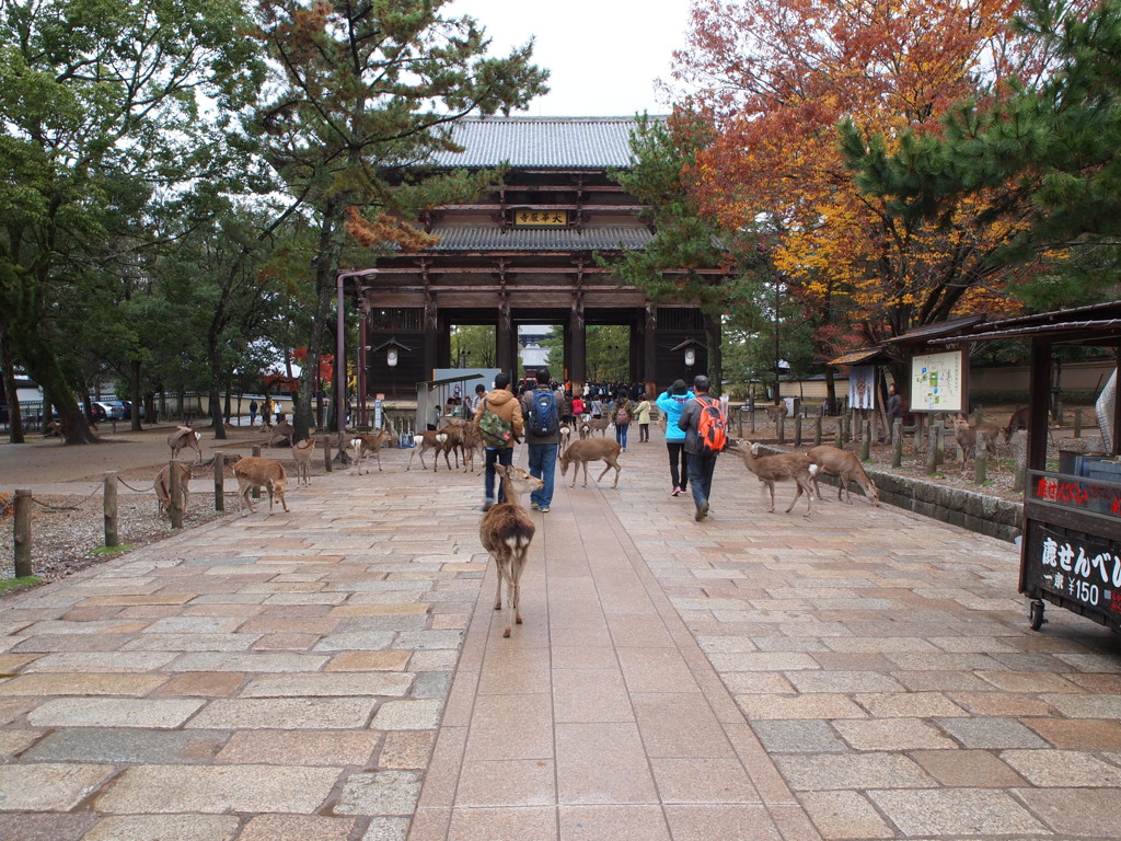 東大寺南大門