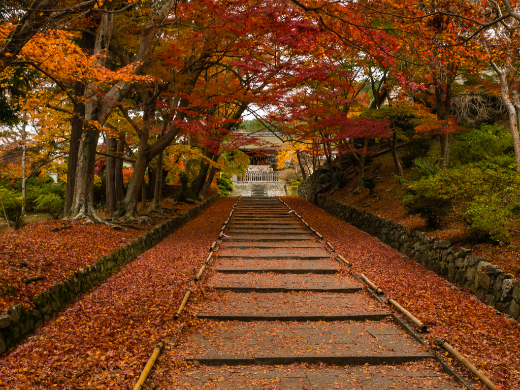 紅葉の毘沙門堂参道　横