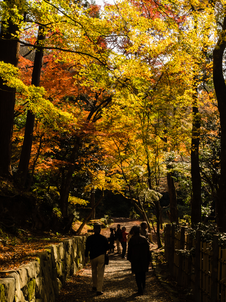 百済寺　その四