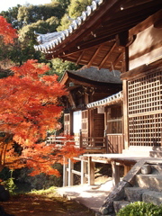 根来寺紅葉