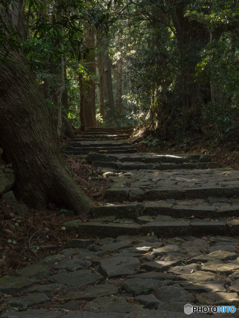 熊野古道　その弐