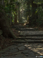 熊野古道　その弐