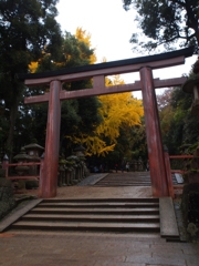 春日大社鳥居