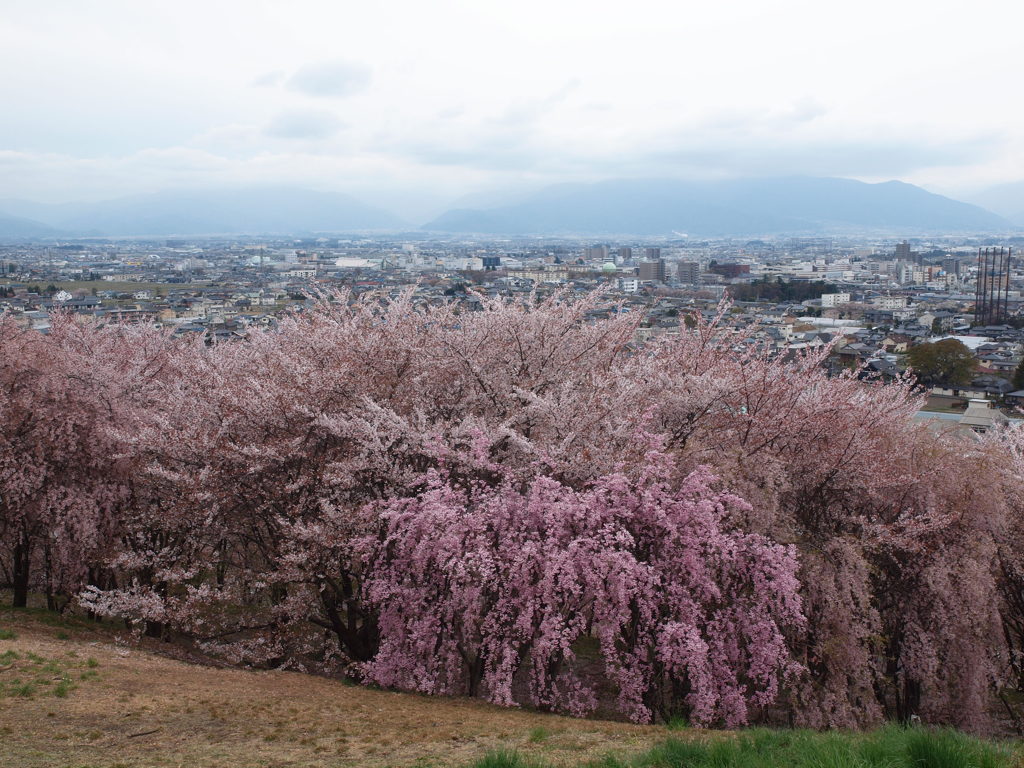 弘法山古墳その３