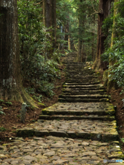 熊野古道　その参