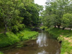 忍野村　桂川