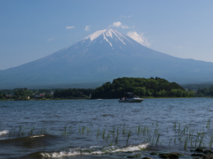 富士山　河口湖大石公園より