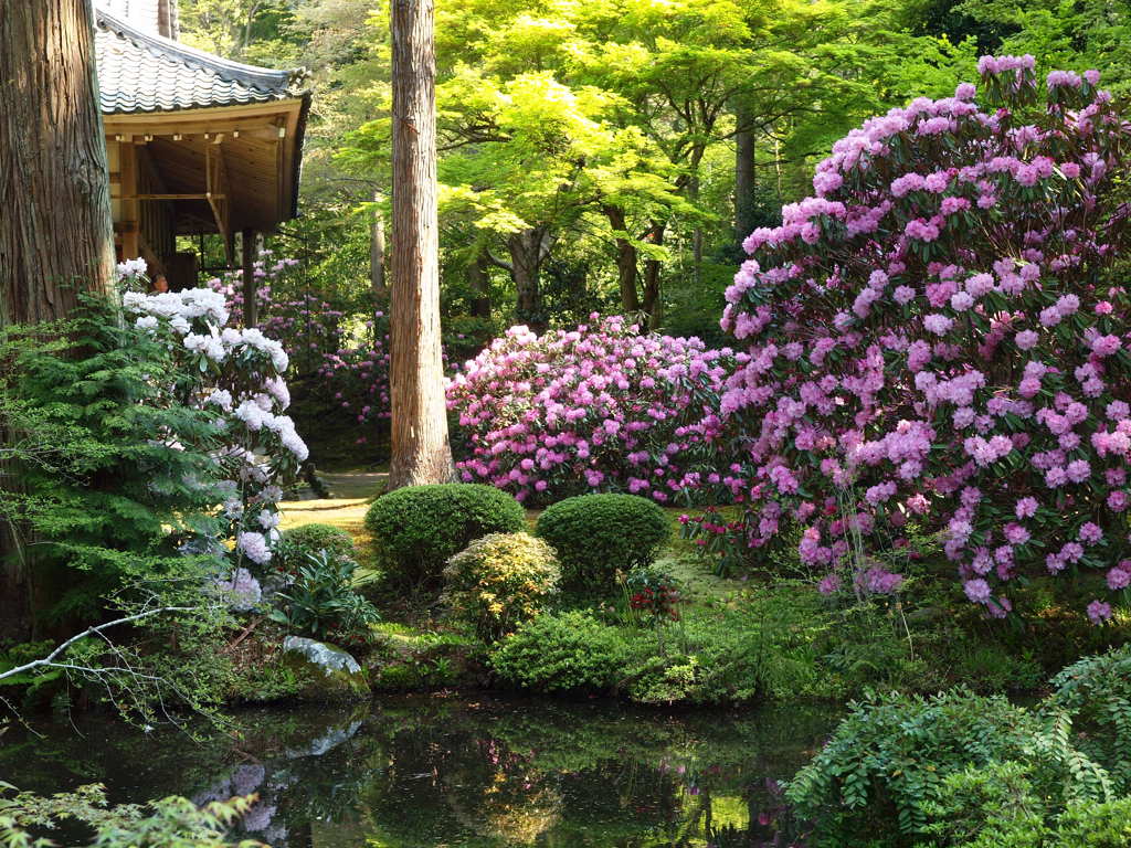 三千院②