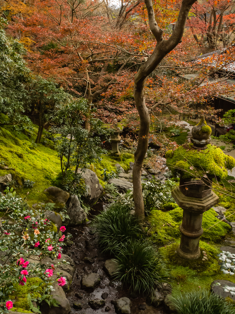 瑠璃光院　庭園　その参