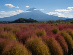 大石公園からの富士山　