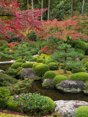 三室戸寺①