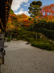 金福寺　その壱