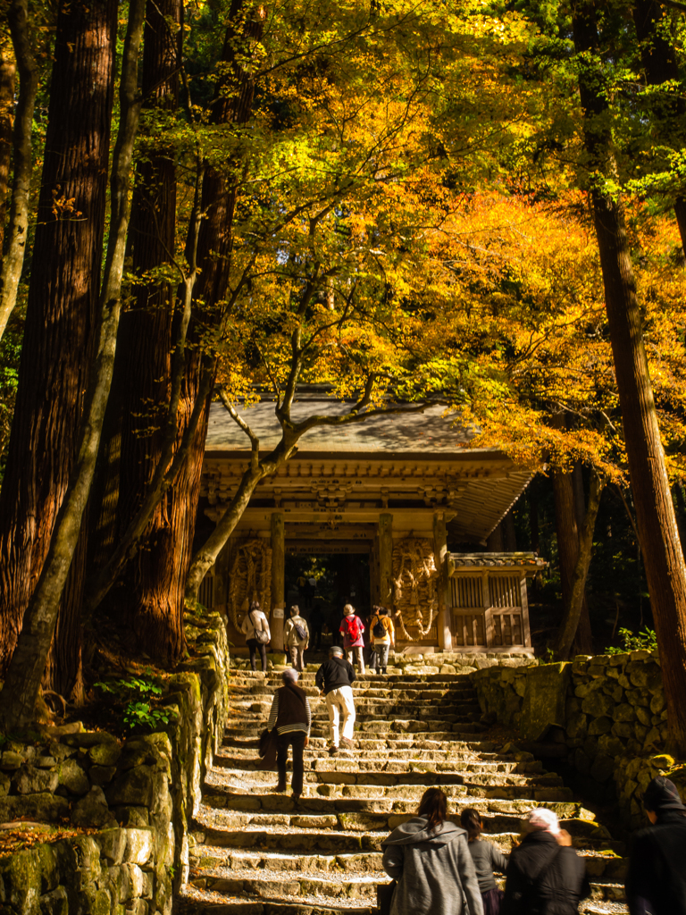 百済寺　その五