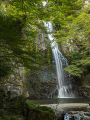 箕面の滝①