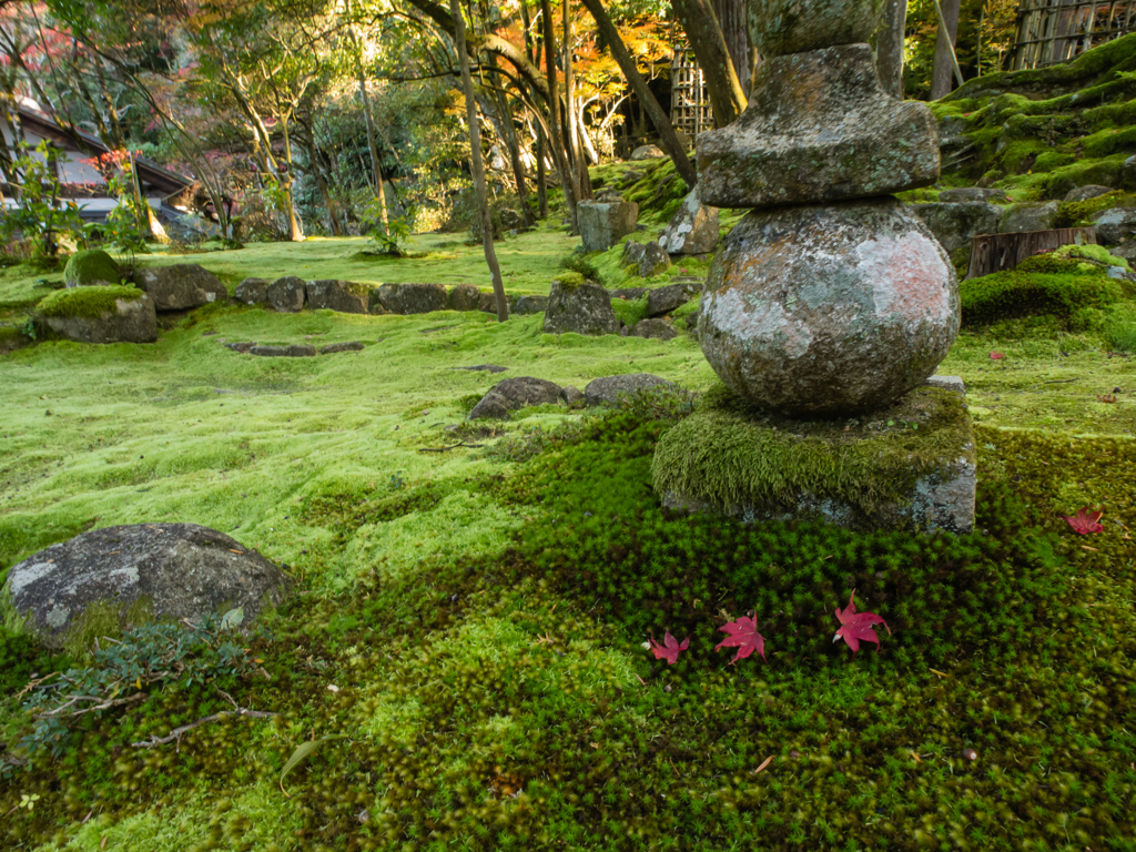 西明寺　その四